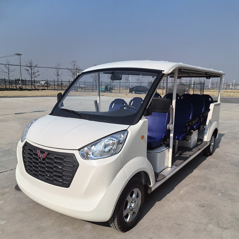 電動(dòng)游覽車(chē)
